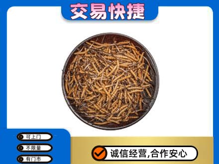 温州龙港市回收散虫草