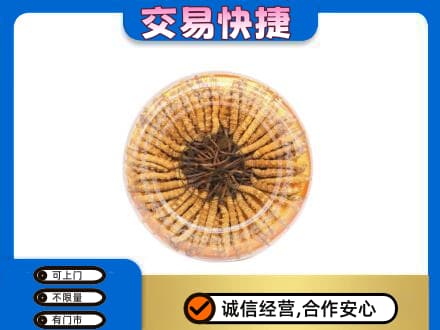 温州龙港市回收虫草礼盒