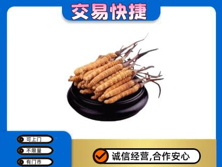 温州龙港市回收冬虫夏草多少钱每克